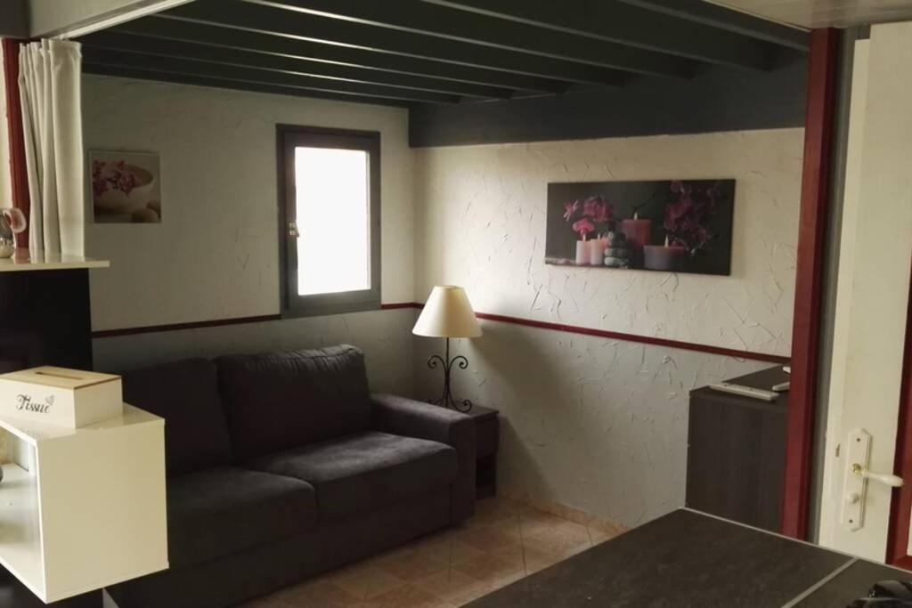 Studio Mezzanine En Residence Avec Piscine Au Village Le Barcarès Zewnętrze zdjęcie